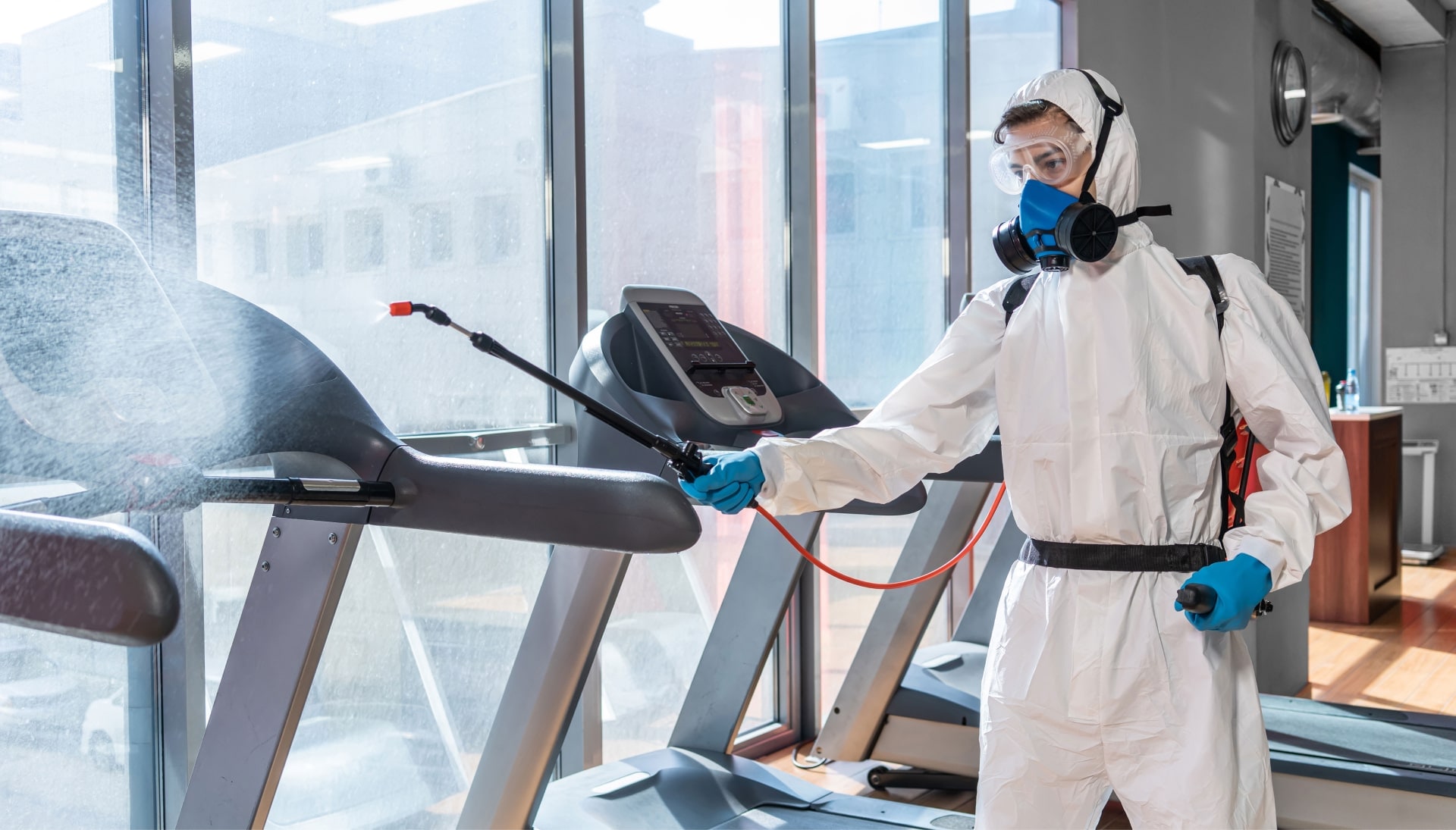 Commercial Mold Removal Services in Sarasota