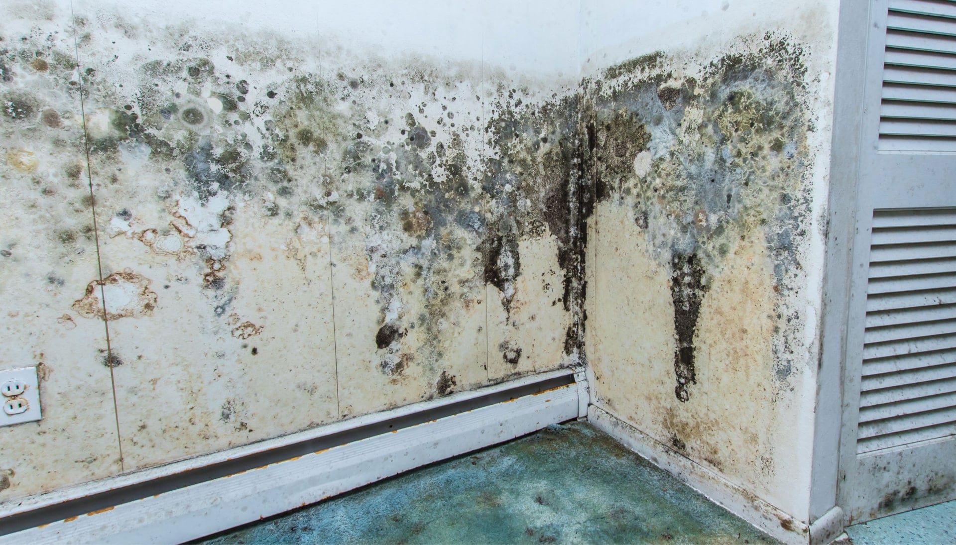 A mold remediation team using specialized techniques to remove mold damage and control odors in a Sarasota property, with a focus on safety and efficiency
